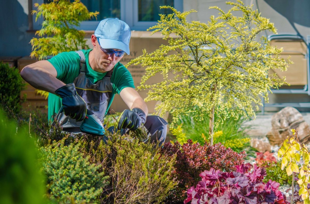 How to Deal with Property Maintenance – Bay Area Property Management