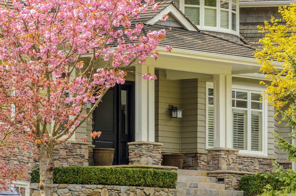 San Carlos Property Management